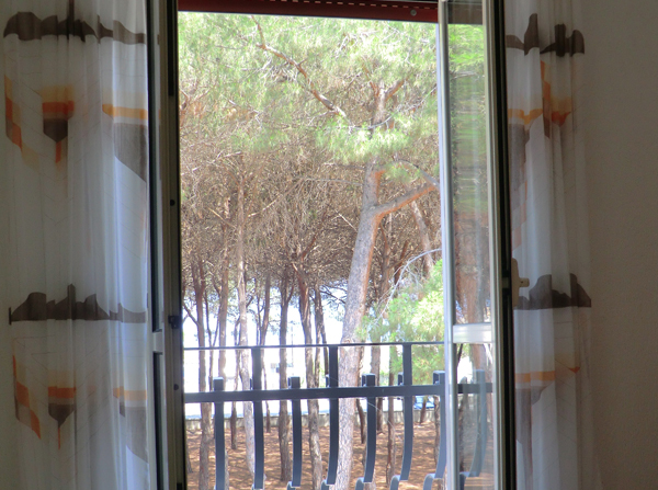 Hotel la Pineta