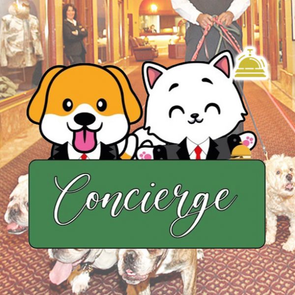 Pet Concierge Top