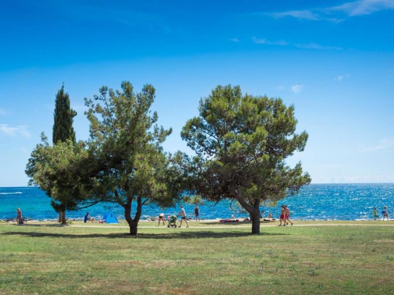 Resort Villa Rubin